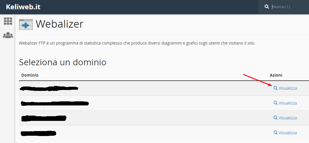 Webalizer seleziona dominio